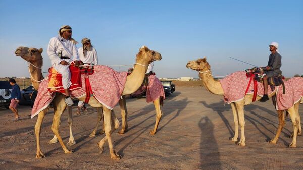 В ОАЭ экспедиция Федора Конюхова на верблюдах пересекла четыре эмирата