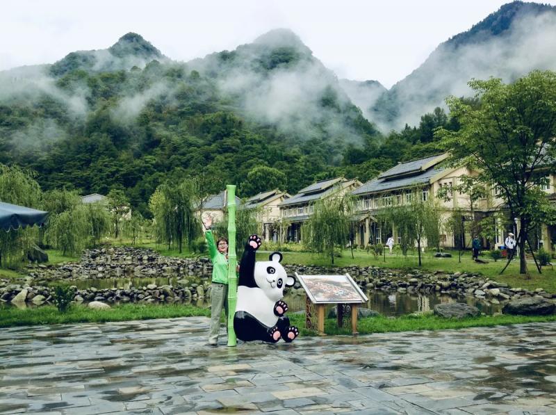 Сколько стоит поездка к пандам в Китай